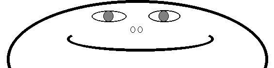 Smiley Face - click to contact us